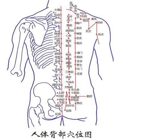 背部中間有痣|背部有痣图解大全 背部有痣的人看命运